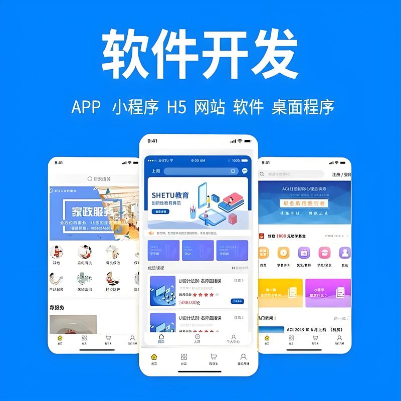 软件系统开发